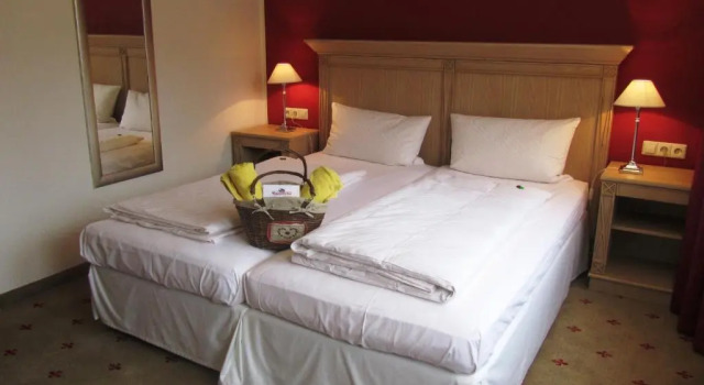 Номер Classic Hotel Leinsweiler Hof