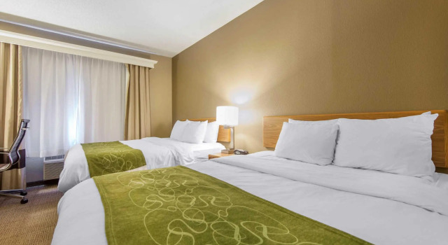 Номер Standard Comfort Suites Keeneland