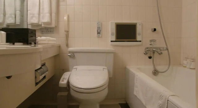 Номер Standard Furano Resort Orika