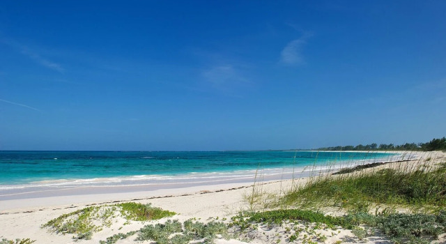Plage Rose Estate