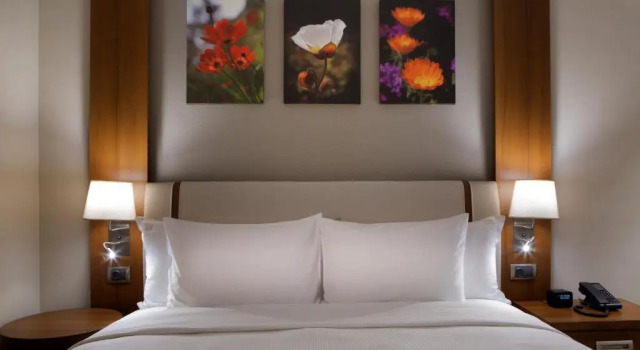 Двухместный номер для гостей с ограниченными возможностями Hilton Garden Inn Istanbul Beylikduzu