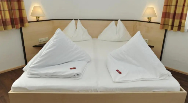 Hotel Alpina