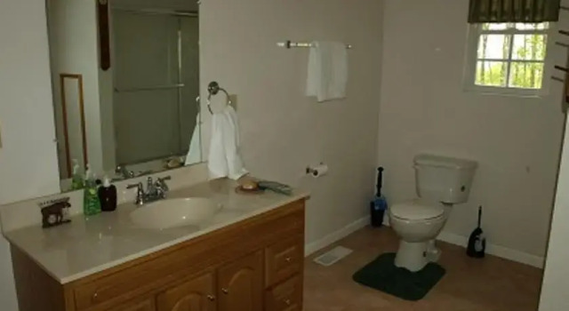 White Lightnen Rental, Prenota Appartamento Parrottsville Stati Uniti