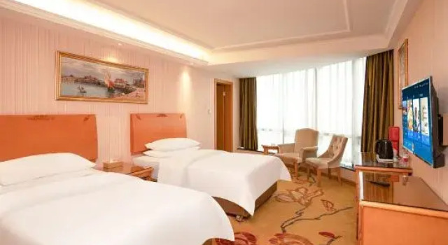 Люкс Deluxe Vienna Classic Hotel Lianzhou Tower