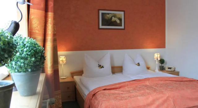 Двухместный номер Standard Hotel Grüner Baum