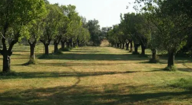 Casapanetta, Rezerwuj Hotel Pisticci Basilicata
