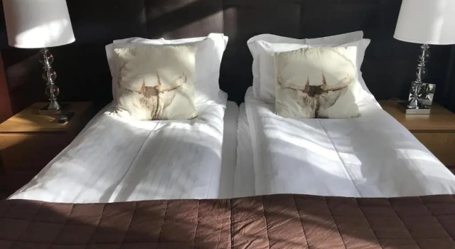 Двухместный номер Deluxe с балконом Snorri's Guesthouse