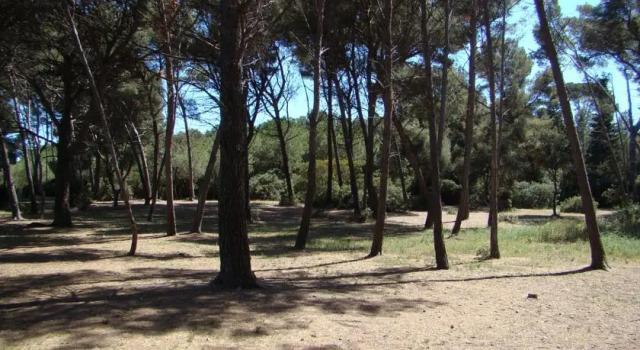 Location Villa Les Maisons du Soleil 10, 预订 别墅 维克拉加尔迪奥勒 Hérault