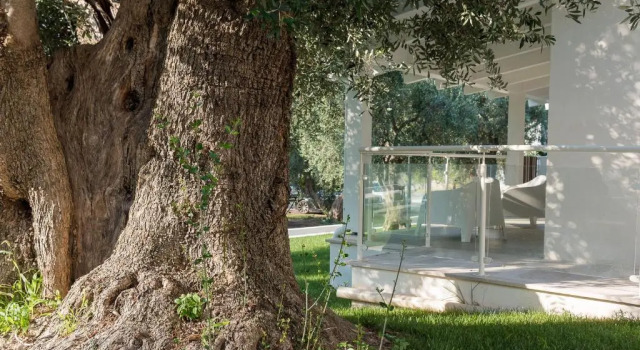 Номер Standard Agriturismo Giorgio