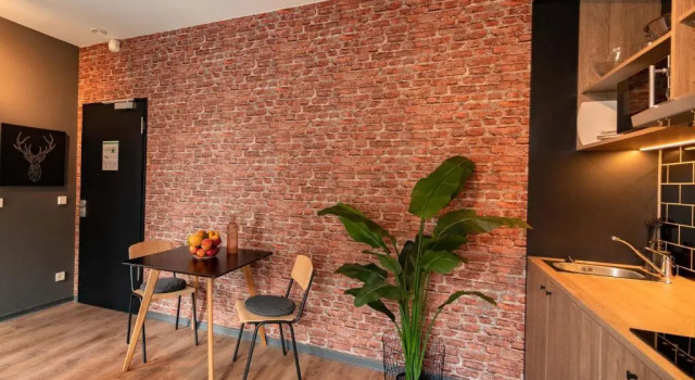 Апартаменты c 1 комнатой PHNX Aparthotel Hamburg