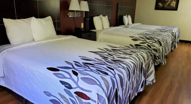 Номер Deluxe Red Roof Inn San Marcos