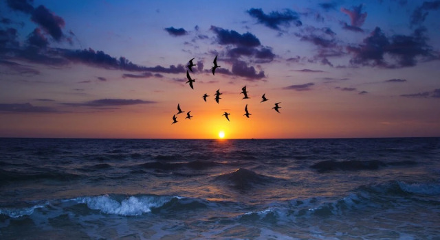 Vista Verde North 6-142 by Distinctive Beach Rentals, Rezerwuj Dom wakacyjny Saint Petersburg Pinellas County