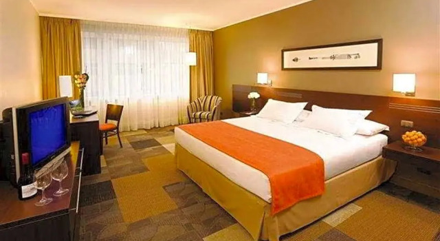 Номер Standard Pullman Santiago El Bosque