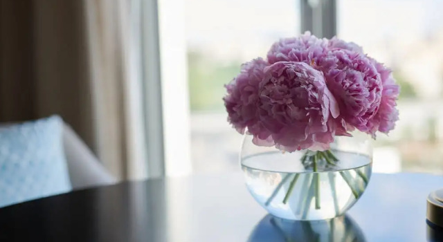 Номер Deluxe с видом на город Corinthia Lisbon