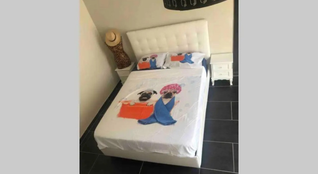 Апартаменты T4 spacieux dans quartier le plus animé de Perpignan idéal pour visa pour l’image