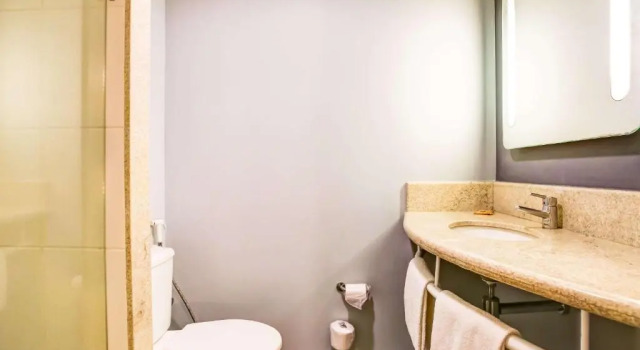 Номер Standard ibis Rio de Janeiro Nova America