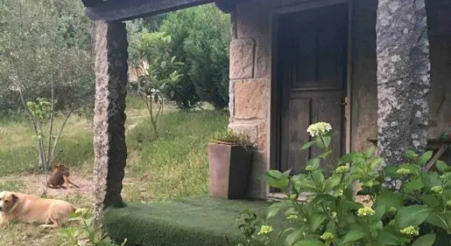 Forest House casinha do Carvalhal, Забронировать Отель Вила-Нова-ди-Сервейра Минхо
