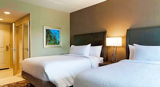 Четырёхместный номер Premium Hilton Garden Inn Lenox Pittsfield