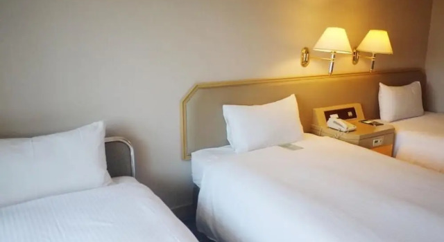 Трёхместный номер Standard Santos Hotel