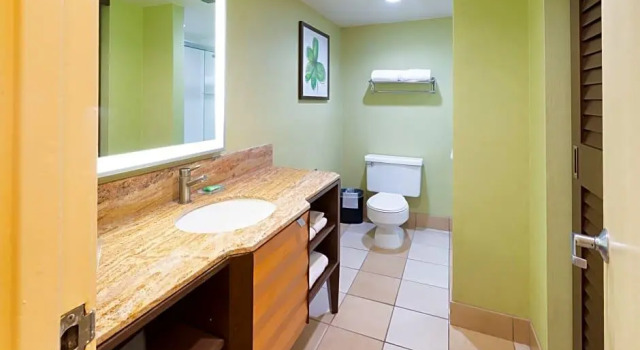 Номер Deluxe Holiday Inn San Jose-Silicon Valley by IHG