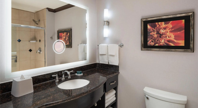 Двухместный номер Standard с красивым видом из окна Hilton Dallas/Rockwall Lakefront Hotel