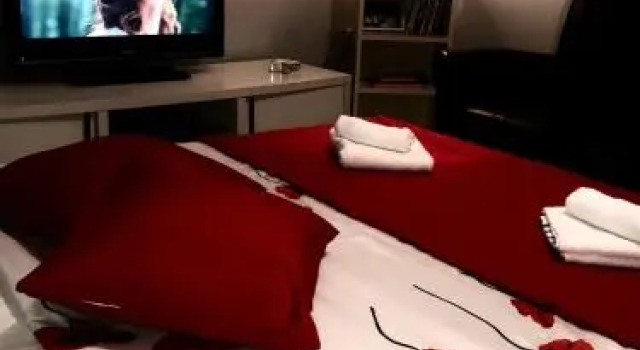 Matejevic Apartments, Buchen Sie Ferienwohnung Niš Zentralserbien
