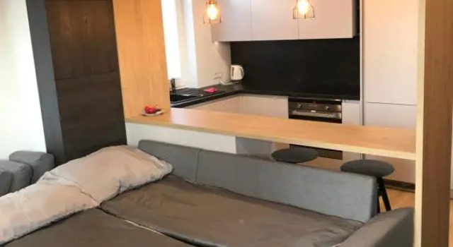 APARTAMENT ZAGNAŃSKA - Garaż