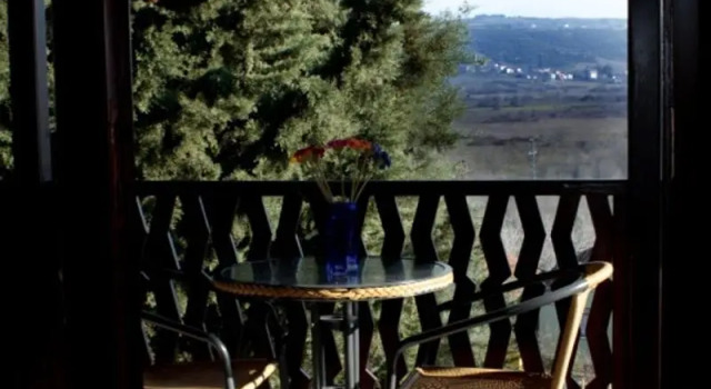 Номер Standard Villa Pine Garden