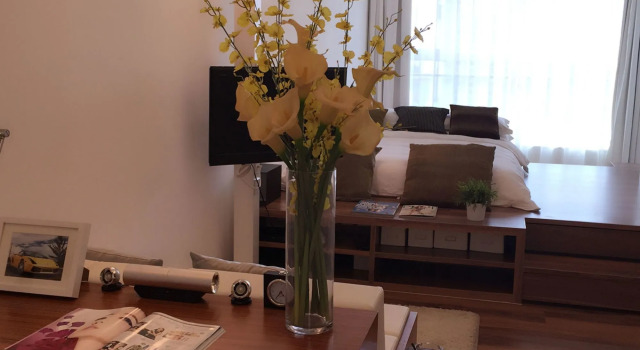 Tianjin S-suites