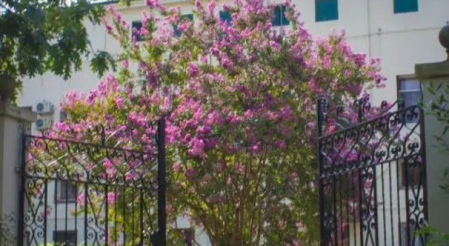 Номер Economy Villa Carrer