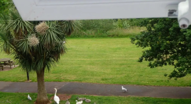 Двухместный номер Standard с видом на парк The Wentworth at Goodrington Sands
