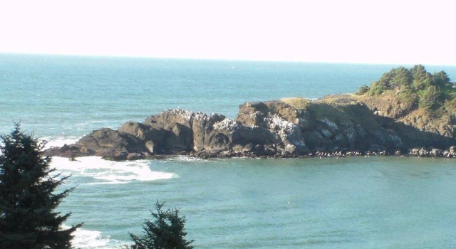 Whale Cove Inn, Book Hotel Depoe Bay Oregon Coast