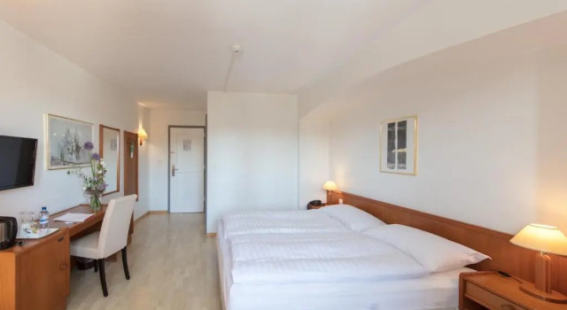 Двухместный номер Superior Hôtel de la Rose