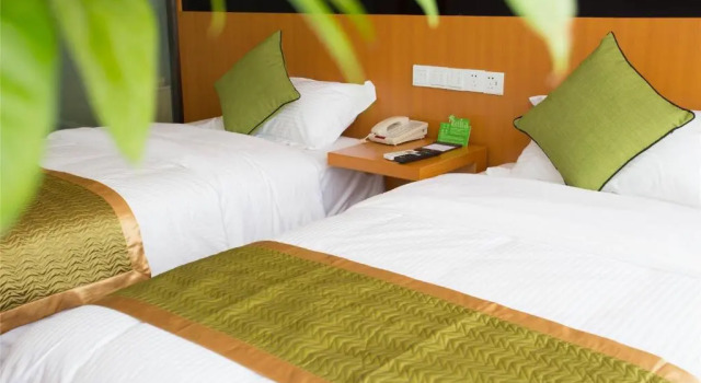 Двухместный номер Deluxe Vatica ZaoZhuang TengZhou Railway Station Hotel