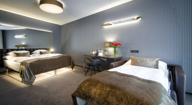 Deluxe Driepersoonskamer Hotel Mucha