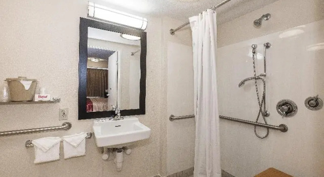 Номер Standard Red Roof Inn PLUS + Boston - Framingham