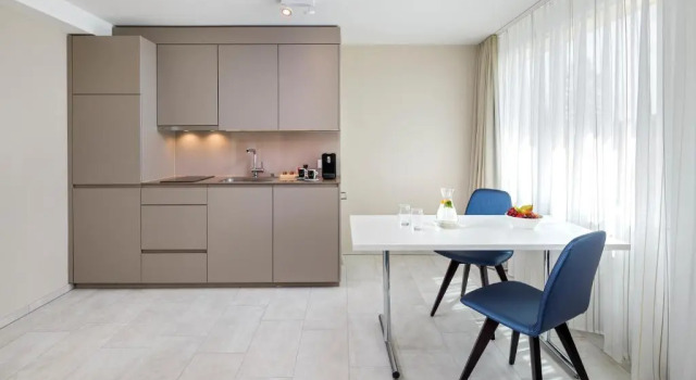 Люкс Business achesa homes Zürich