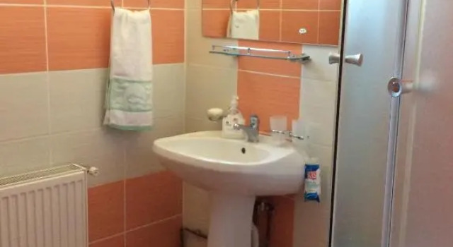 Casa Andrada & Ilinca, Rezervovat Hotel 3hvězdičkové hotely v Suceava, 3*