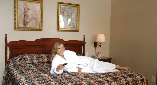 Hotel Andros