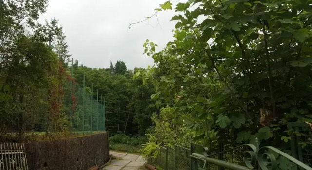 Bambarbia Guesthouse, Book Hotel Makhinjauri 