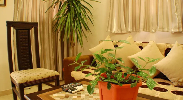 Avrio Red Sea Apartments