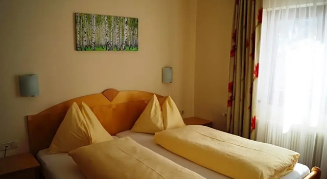 Номер Standard Hotel Wechselberger by Alpeffect Hotels