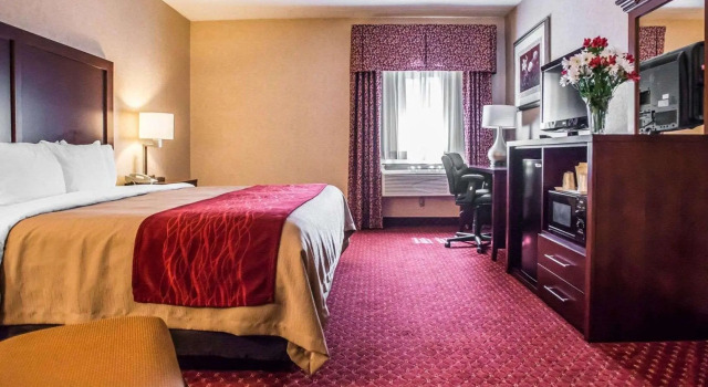 Двухместный номер Standard Comfort Inn Pocono Lakes Region