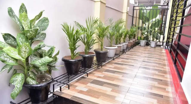 Апартаменты Deluxe с 2 комнатами The Transit Stay - Guwahati