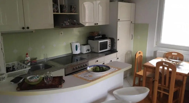 Апартаменты Apartman Goga