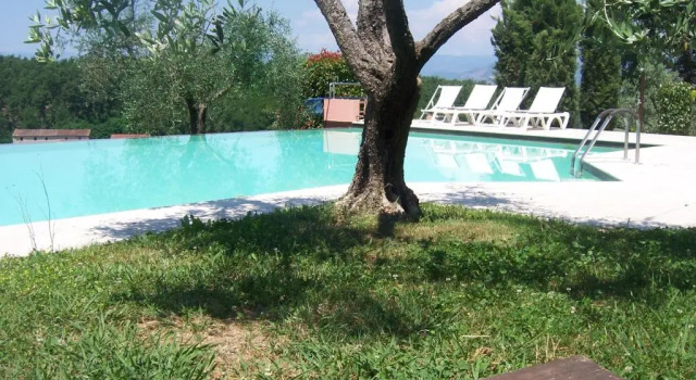 Апартаменты Standard Agriturismo le Due Querce