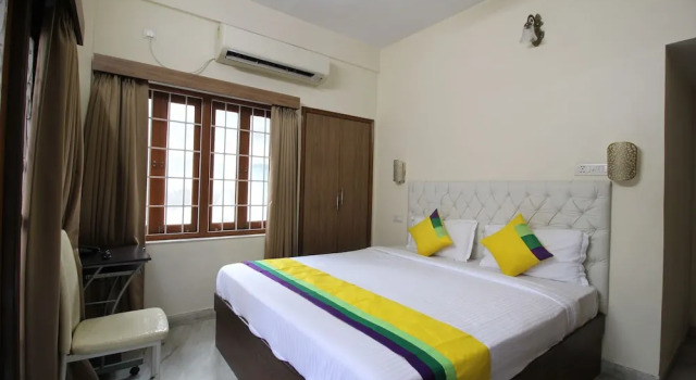 Номер Executive Anamitra Guest House