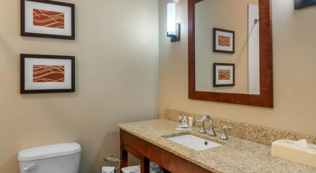 Люкс Comfort Inn South Chesterfield - Colonial Heights