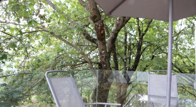 Люкс Deluxe Oak Nature