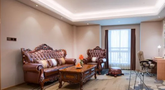 Люкс Deluxe Vienna International Hotel (Xinyu Administrative Center Baowu Steel)